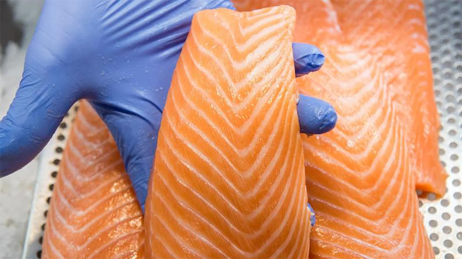 13 продуктов, запрещенных в разных странах