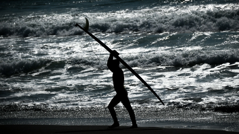 Серфинг-парк в московских Мневниках начнут строить в 2022 году