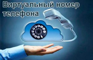 Телефонный номер для онлайн регистрации