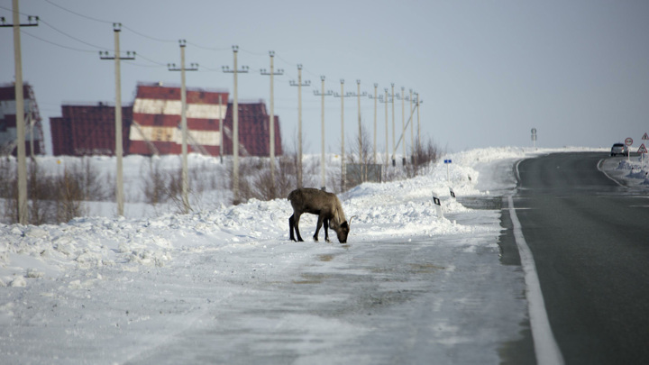 Названы регионы России с наибольшим неравенством доходов