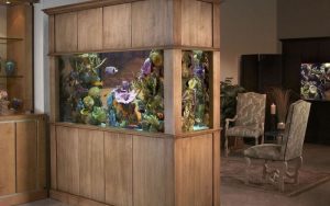 Мебель для аквариума: разновидности, как подобрать