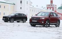 Трудно быть оленем: что бывает, когда дорога идет через лес (видео)