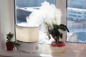 Увлажнение воздуха в квартире: проверенные и действенные способы