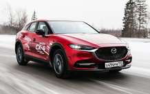 Правозащитник дал совет, как бороться со сквозным движением во дворах