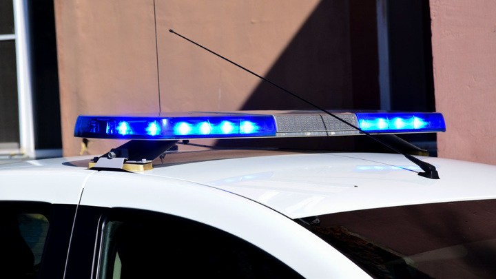 В Подмосковье конфликт между пассажирами автобуса закончился стрельбой - Новости на Вести.ru