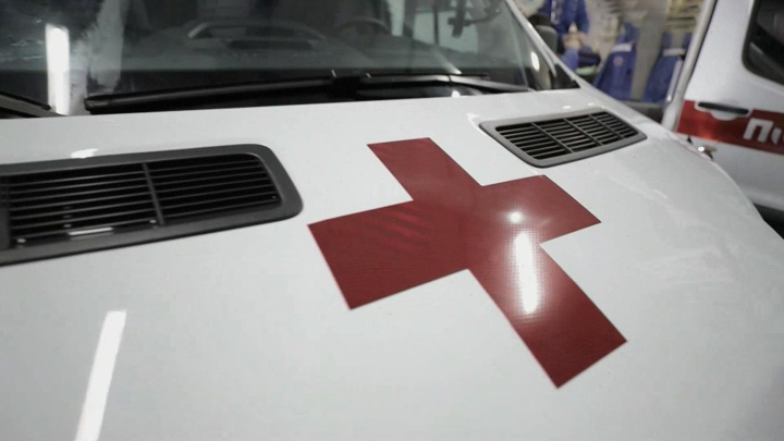 Предприниматель погиб в Сестрорецке, упав на бензопилу - Новости на Вести.ru