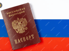 Как получить гражданство РФ в 2025: полное руководство, все способы и законы