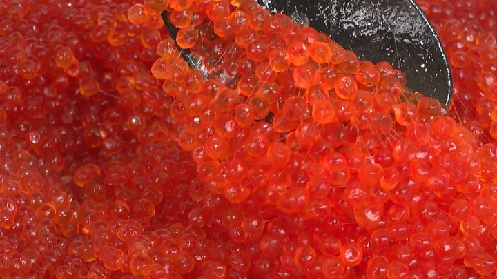 Экономист Ильяшенко: цены на красную рыбу и икру вырастут к Новому году до 7% - Новости на Вести.ru