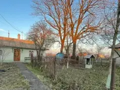 «Спускаемся на землю»: почему украинцы массово переселяются из городов в села