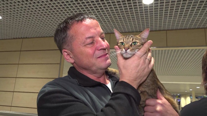 Кота Федоса, сбежавшего в поезде и проехавшего более 6000 км, вернули хозяевам - Новости на Вести.ru